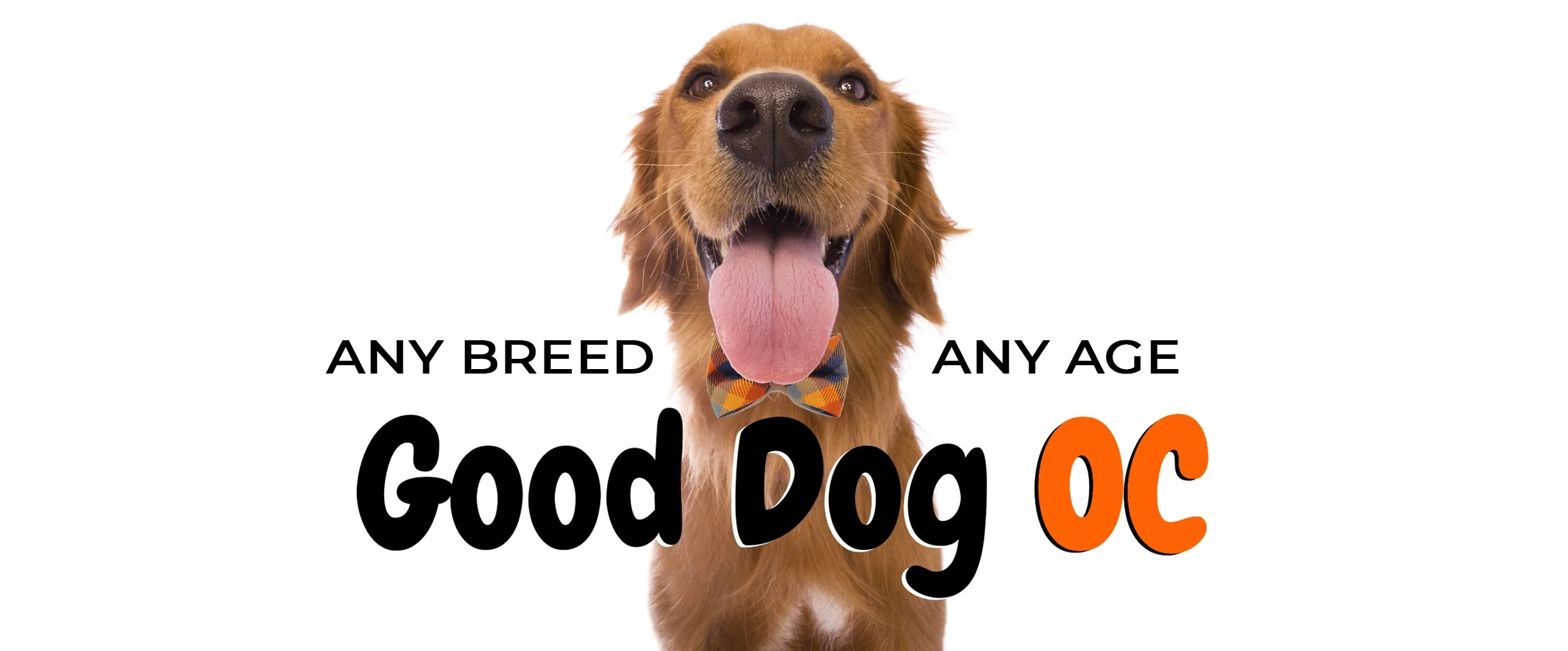 OCs #1 Dog Training Team — Good Dog OC